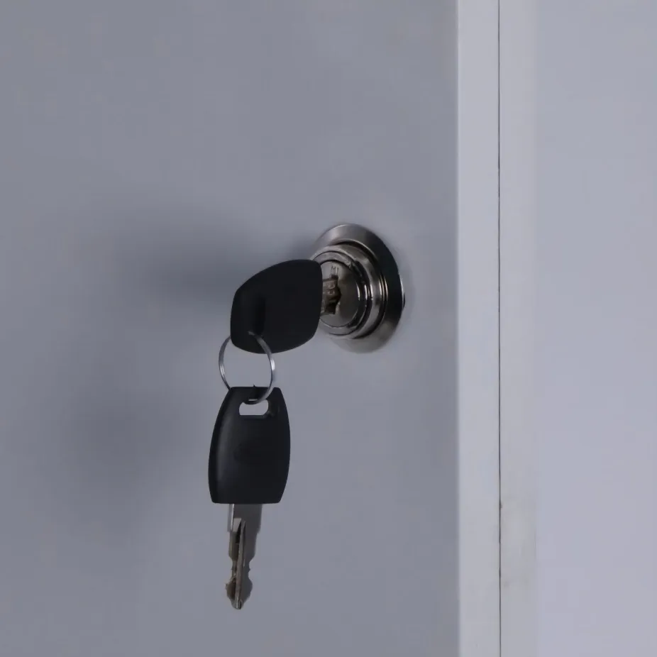 Ebco Center Push Lock MPT1-22mm for Double Sliding Wardrobe Doors  (1620)