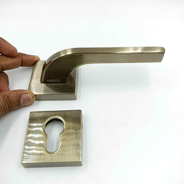 europa mortise rose handle with lock